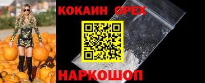 a pvp Камышлов