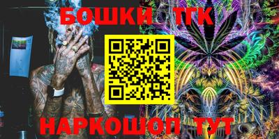 a pvp Камышлов