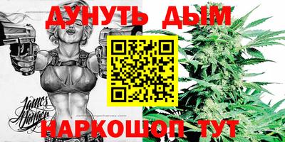 a pvp Камышлов