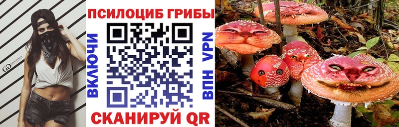Псилоцибиновые грибы ЛСД  Геленджик 