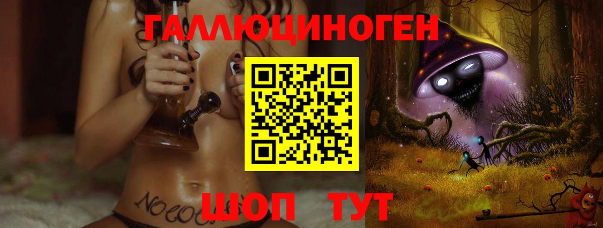 Псилоцибиновые грибы Psilocybe  Вход с VPN  Геленджик 